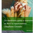 Оставайтесь дома и платите за ЖКХ в приложении Сбербанк Онлайн.